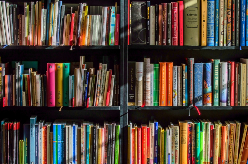 vente-ROQUEBRUNE CAP MARTIN-min_books_bookstore_book_reading_shop_writer_sale_books_read-822866